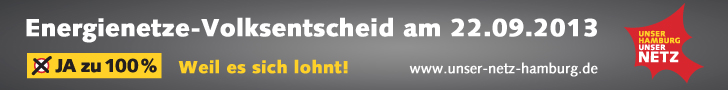 Superbanner - Energienetze-Volksentscheid am 22.09.2013